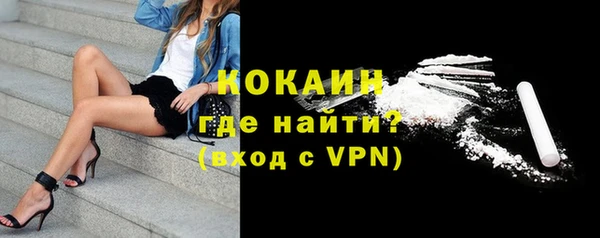 стафф Аркадак
