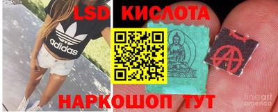 спиды Жуковский
