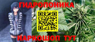 гашик Заволжье
