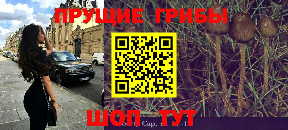 Псилоцибиновые грибы ЛСД Красноуфимск